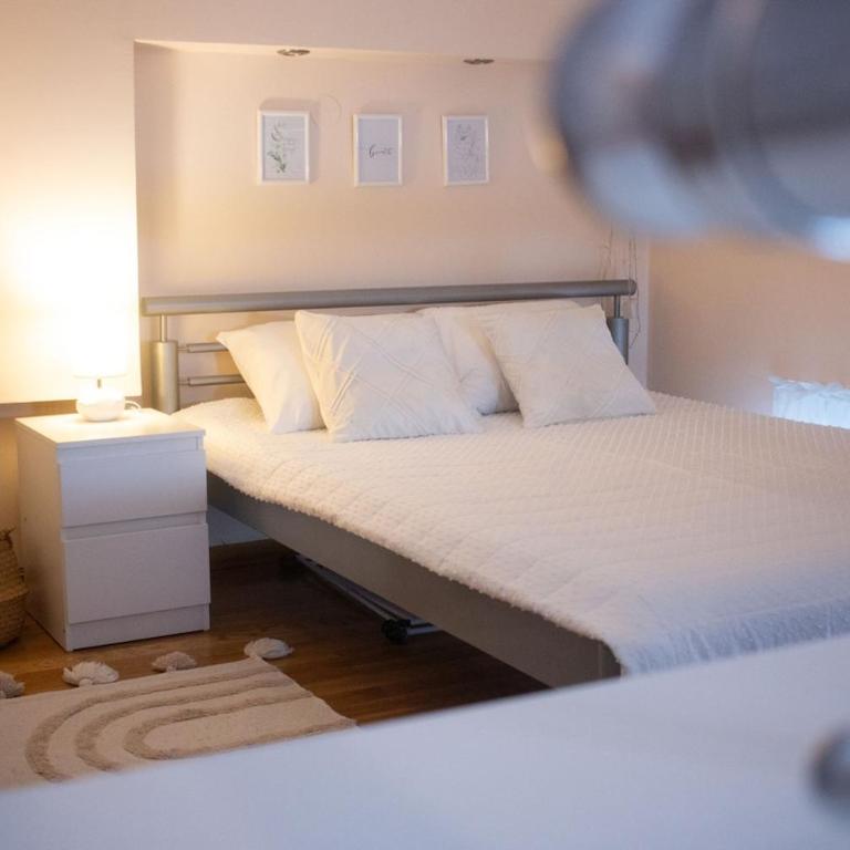 Duplex in the heart of Belgrade - Apartman sa 1 Spavaćom Sobom - 16