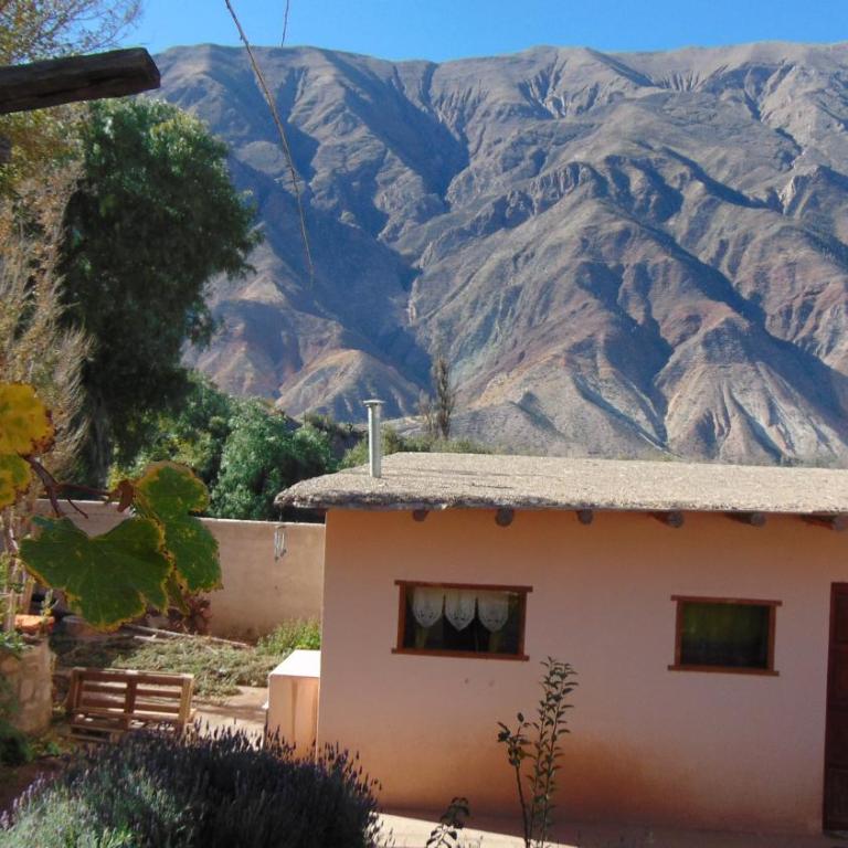 Cabaña colibrí - One-Bedroom Chalet - 1