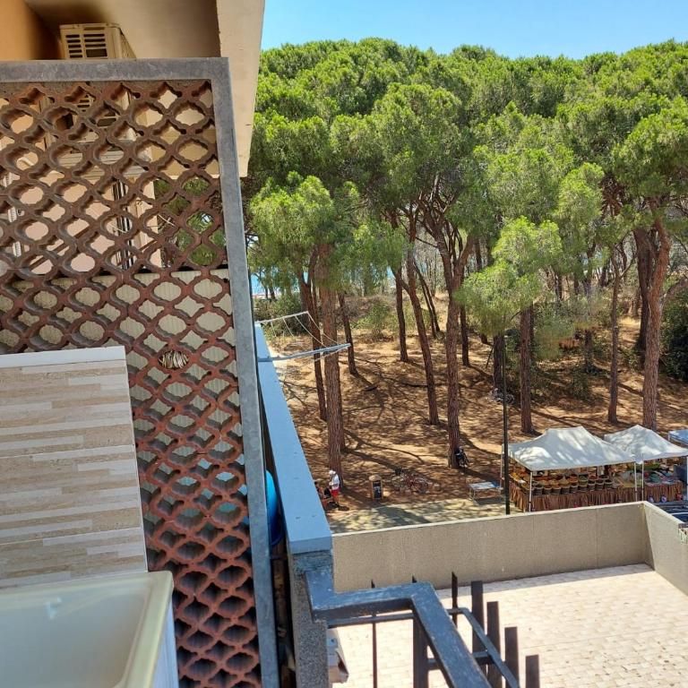 Appartamento Morelli Beach - Via delle Collacchie 53 - Appartamento con 1 Camera da Letto, Balcone e Vista Mare - 2
