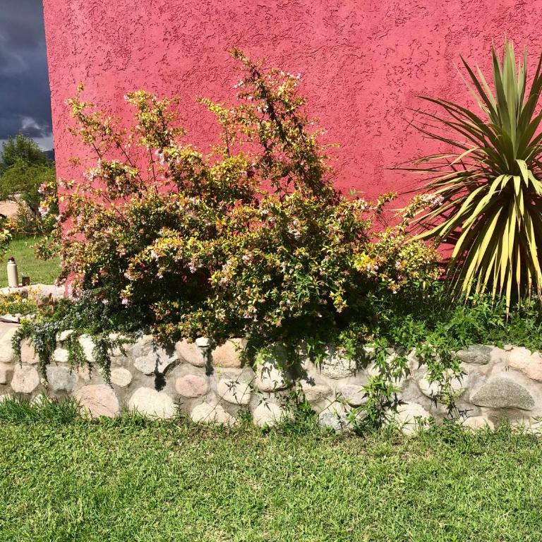 Nuestro lugar en Traslasierra - Vacation Home - 69