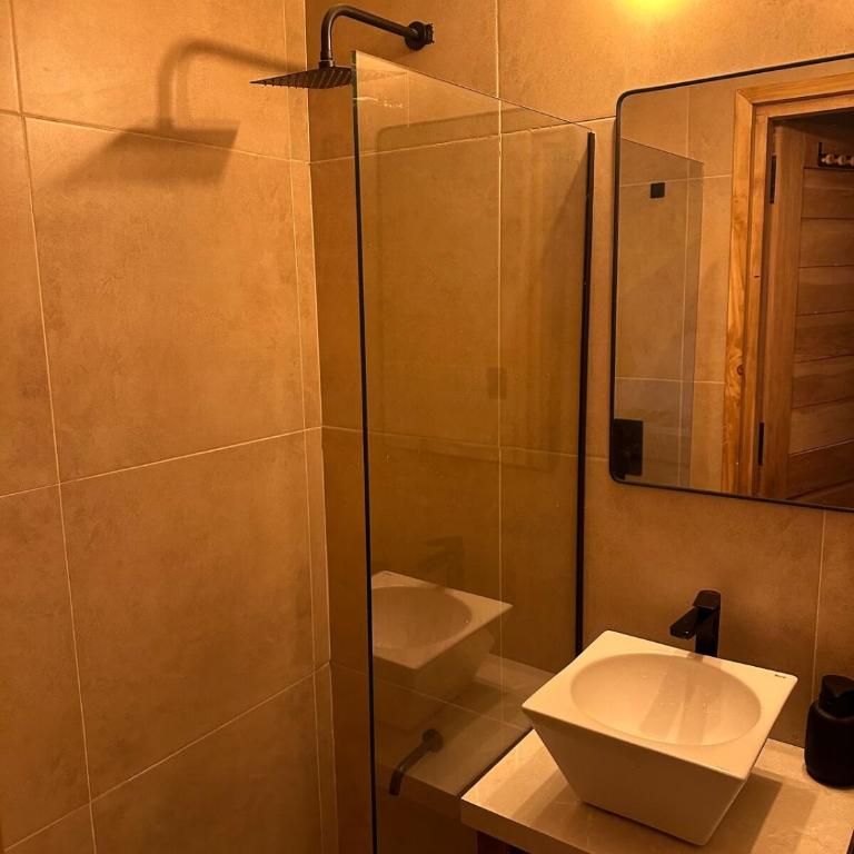 7 Lagos Cabaña Hoystein 3 dormit en Piedra de San Francisco - San Martín de Los Andes - Three-Bedroom Chalet - 76