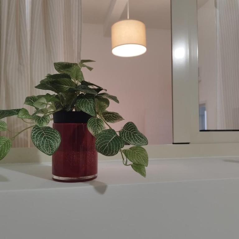 Dimora Saracina - Vacation Home - 61