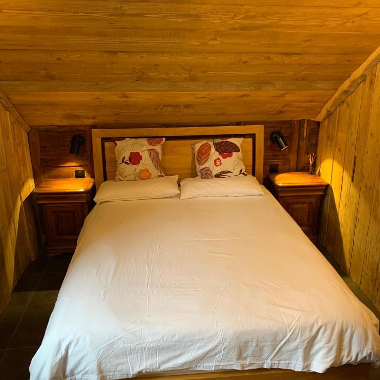 Apartment Alys, contemporary style apartment in mountain village - Appartement 2 Chambres - 76