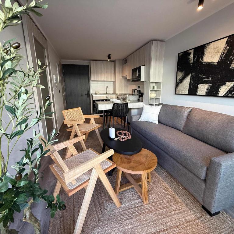 HOM I Nuevo e Inmejorable Depto1D1B 2PAX Santiago - Apartamento - 21
