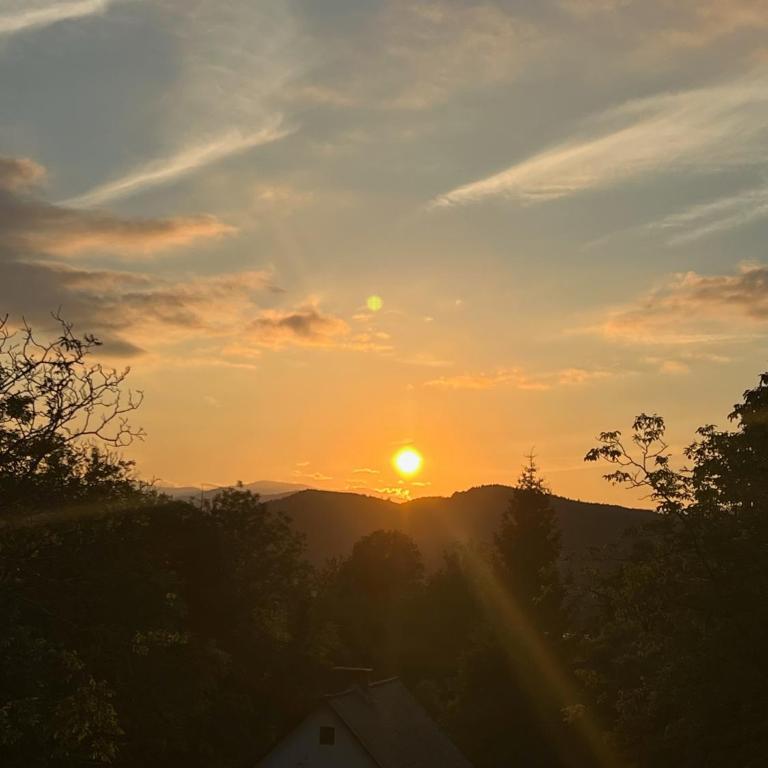 Forest Sky Suite - Graz - Apartment mit 2 Schlafzimmern - 12
