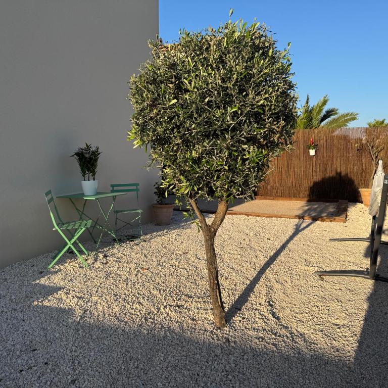 Villa Moana Lagune 4 chambres, 4 salles de bain, piscine privative chauffée à 30 degrés toute l année, balnéo, terrain de pétanque privé, ping-pong - Villa - 8