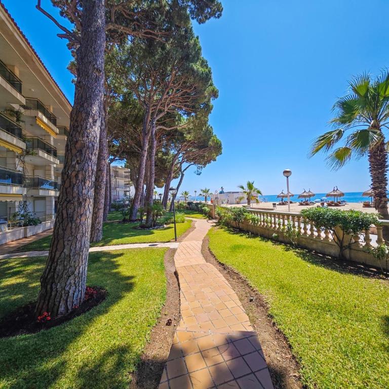 Versalles C 1 1 - ONLY FAMILIES - Apartment - 9