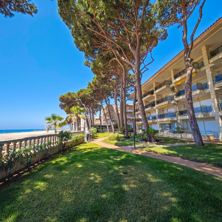 Versalles C 1 1 - ONLY FAMILIES - Apartment - 43