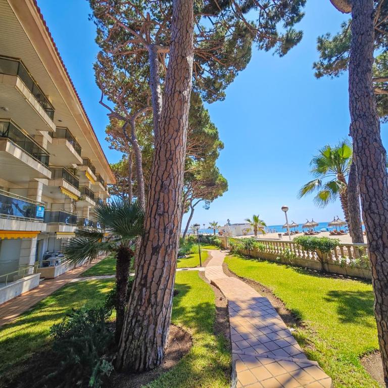 Versalles C 1 1 - ONLY FAMILIES - Apartment - 41