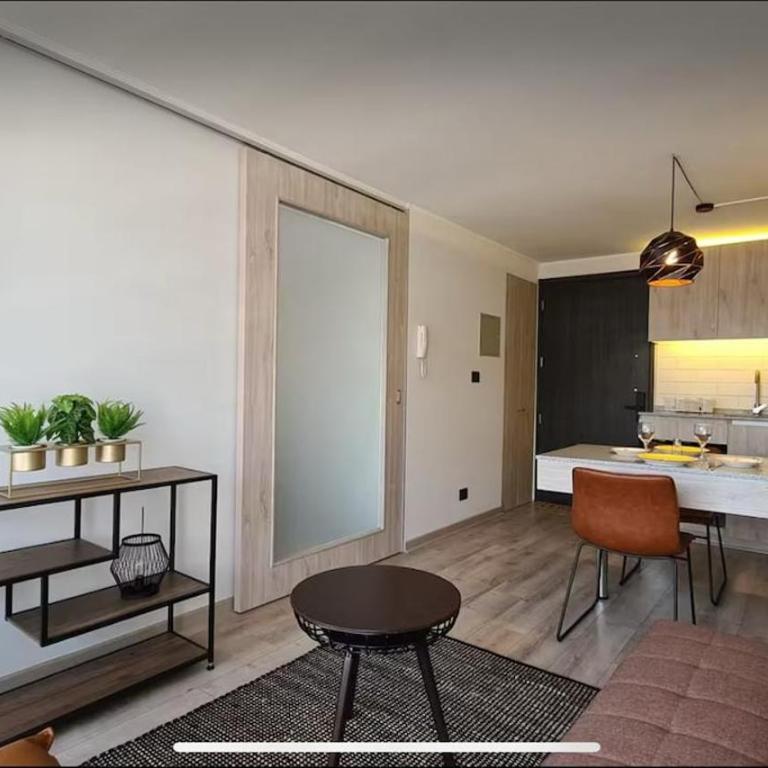 Cómodo y Hermoso Departamento en Santiago - Apartamento de 1 dormitorio - 2