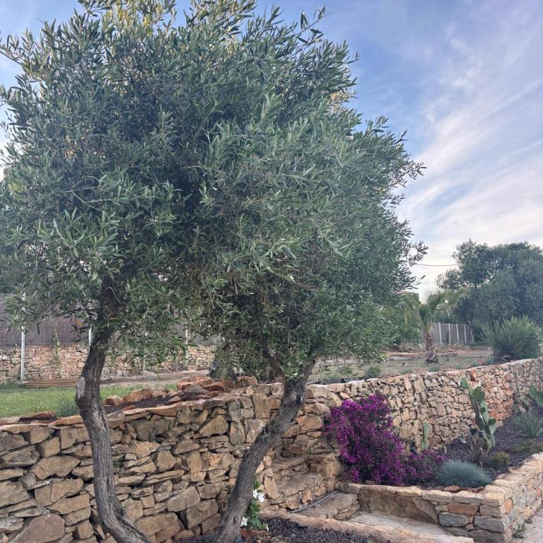 Locavilla - Granières - Villa - 27