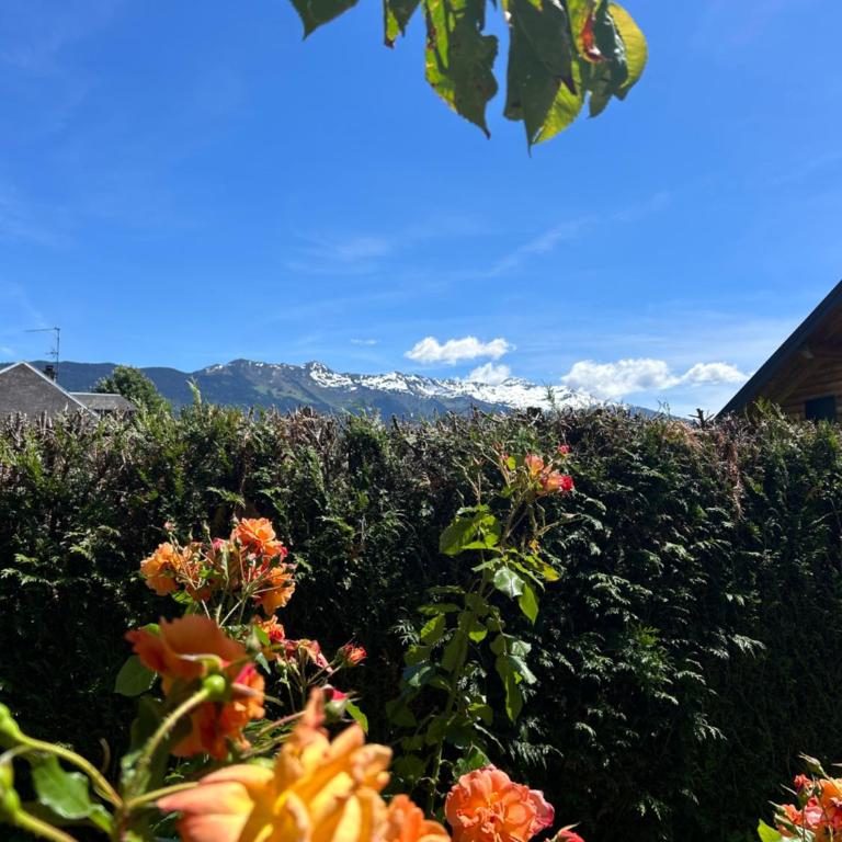 Maison spacieuse, 6 personnes, lacs et randonnées à proximité - Maison 3 Chambres - 22