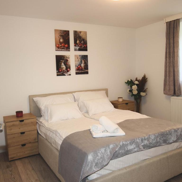 Villa Sunset Mostar - Apartman sa 2 Spavaće Sobe - 11