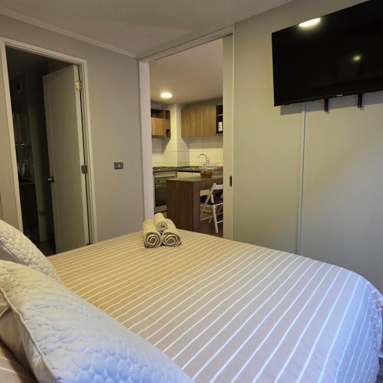 Oceana Suites Santa Victoria - Apartamento de 1 dormitorio - 10