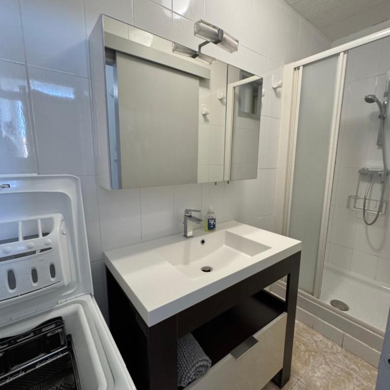 Front de mer T2 balcon, jardin, garage, proche commerces - Apartment mit 1 Schlafzimmer - 7