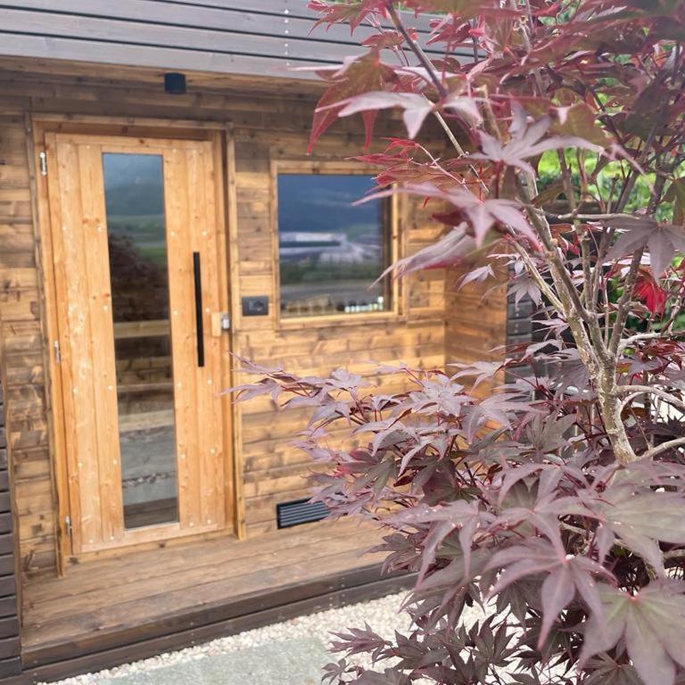 Apartment Torggl Alpenblick - Appartamento con 1 Camera da Letto - 13