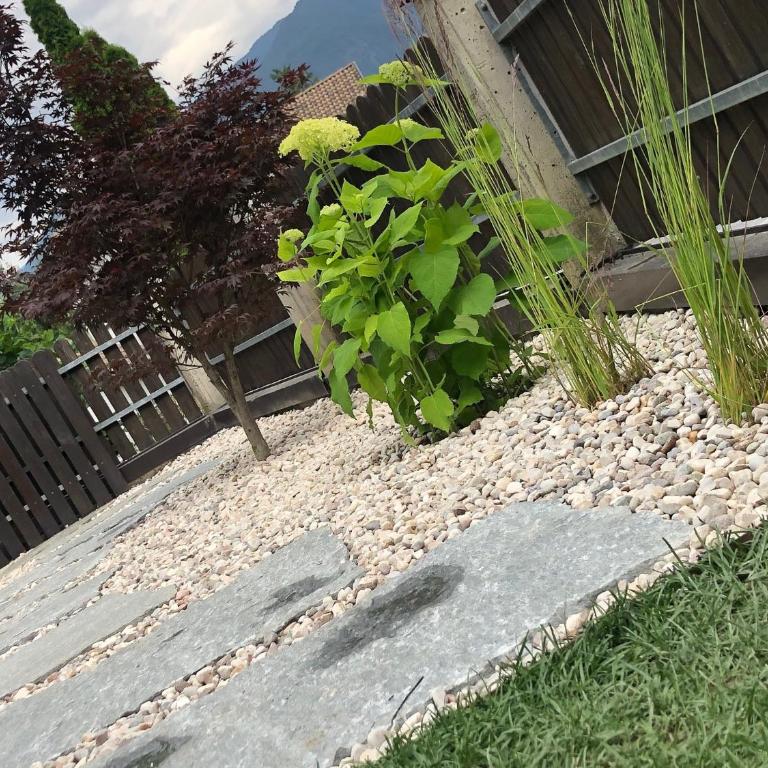 Apartment Torggl Alpenblick - Appartamento con 1 Camera da Letto - 15
