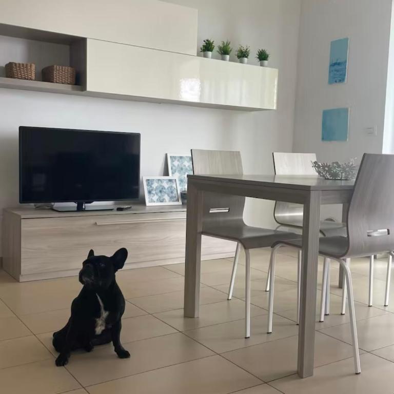 Vista Mozzafiato Golfo di Vasto - Appartamento con 1 Camera da Letto - 16