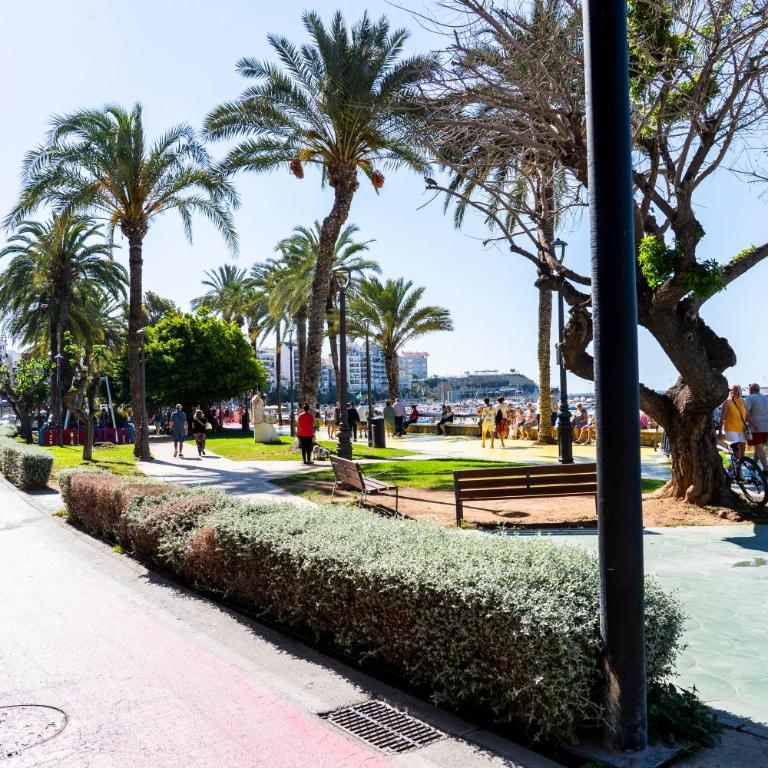 Rinconcito Premium Beach - Apartamento Premium de 1 dormitorio - 43