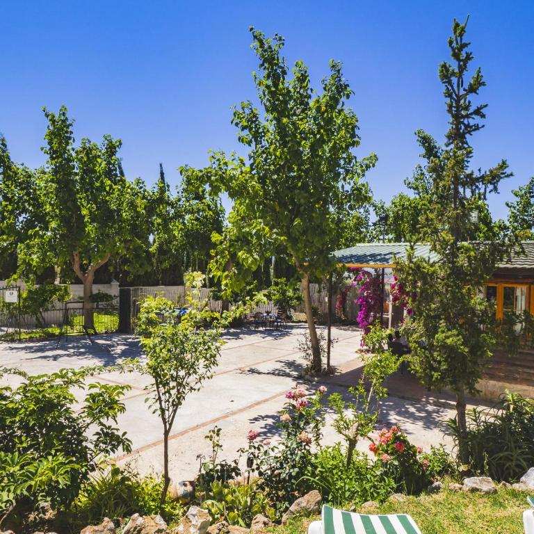 Cubo's Finca la Rosa del Zangano - Three-Bedroom House - 12