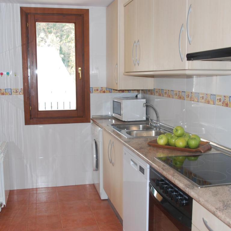PirineosNature Apartments - Appartement 2 Chambres - 9