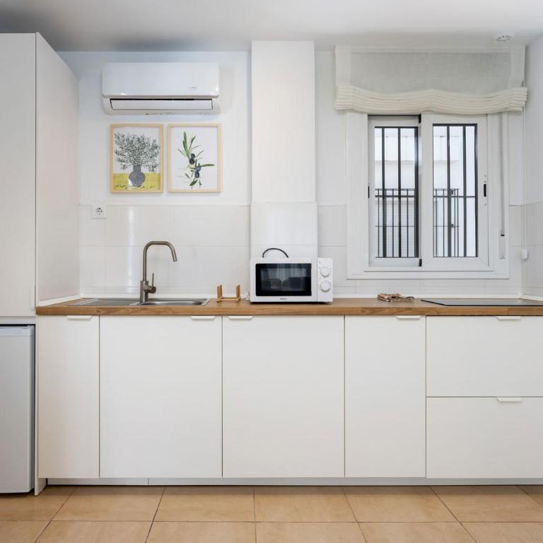 Brisa Jerez Suites - Apartamento de 1 dormitorio - 9