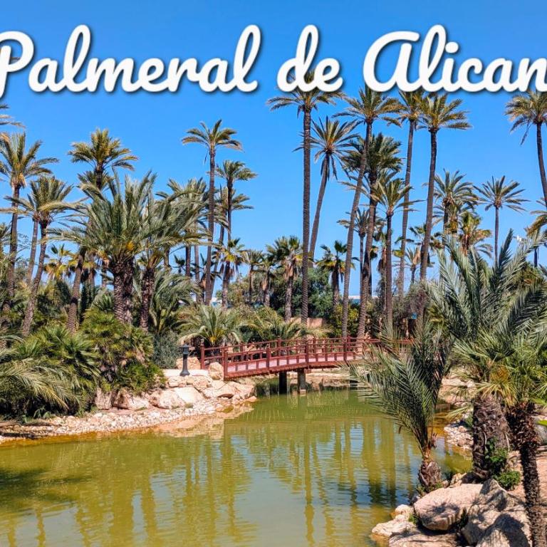 Best Holiday Santa Pola - Apartamento de 1 dormitorio - 37