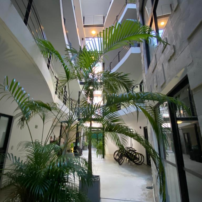 Sole Suites Apartments Playa del Carmen - Two-Bedroom Suite - 25