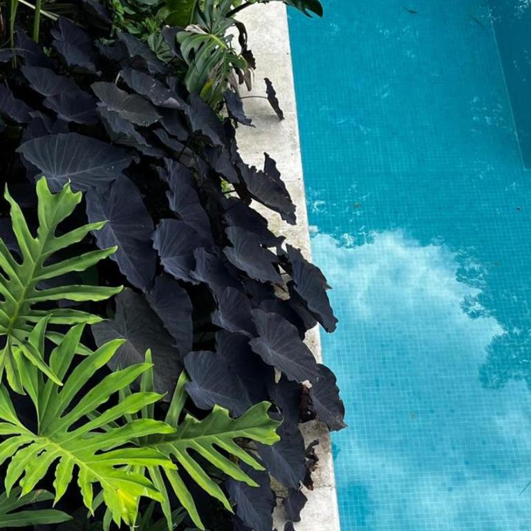 Casa Nutabe - Casa de Campo en Girardota cerca a Medellín - Casa de 3 dormitorios - 54
