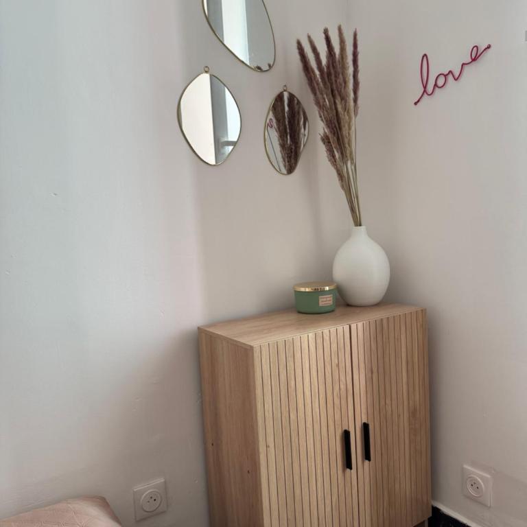 Joli 2 pièces avec terrasse en centre ville - Apartment mit 1 Schlafzimmer - 20