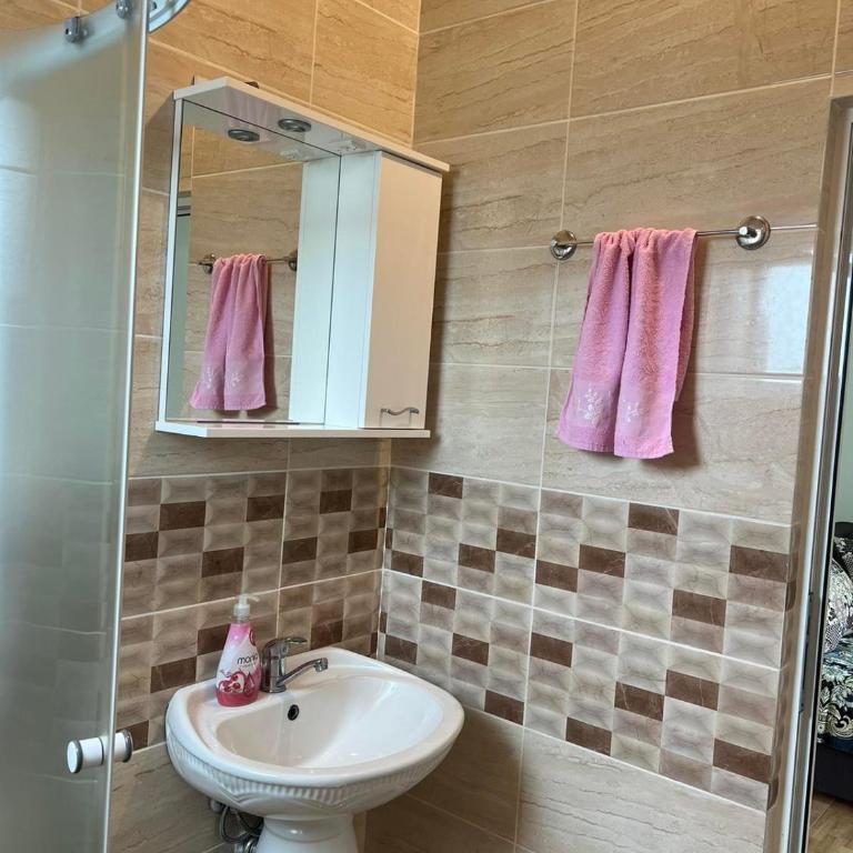 Halili Apartments - Apartman sa 2 Spavaće Sobe i Terasom - 7