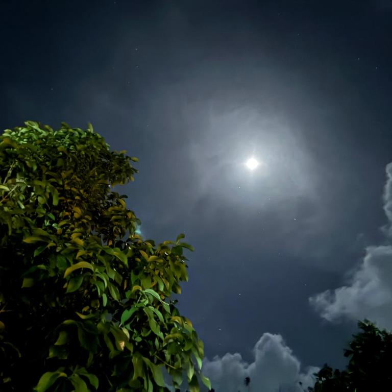 Star Apple Inn - Three-Bedroom Chalet - 12