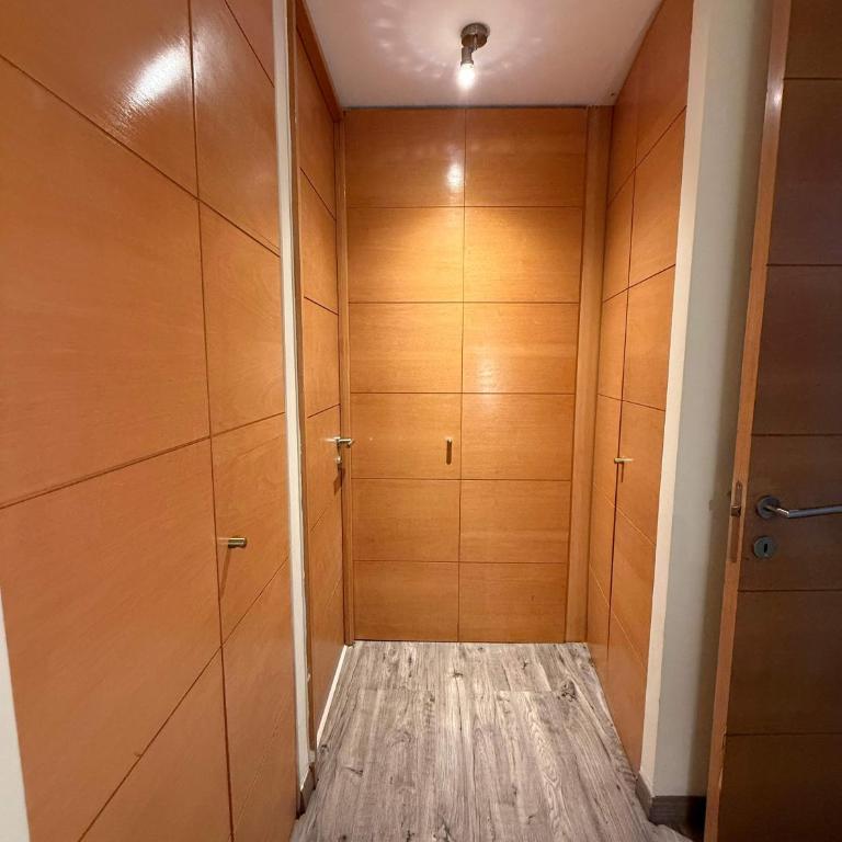 HOM I Amplio Depto 2D2B con Parking en Providencia - Apartamento - 31