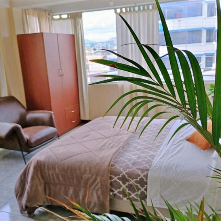 centrico departamento - Apartamento de 2 dormitorios - 1