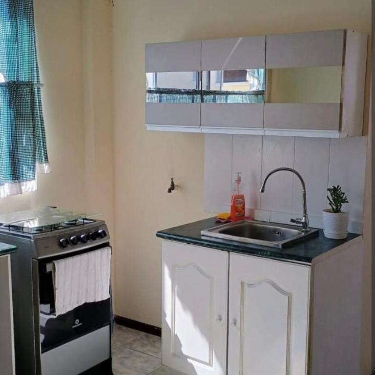 centrico departamento - Apartamento de 2 dormitorios - 5