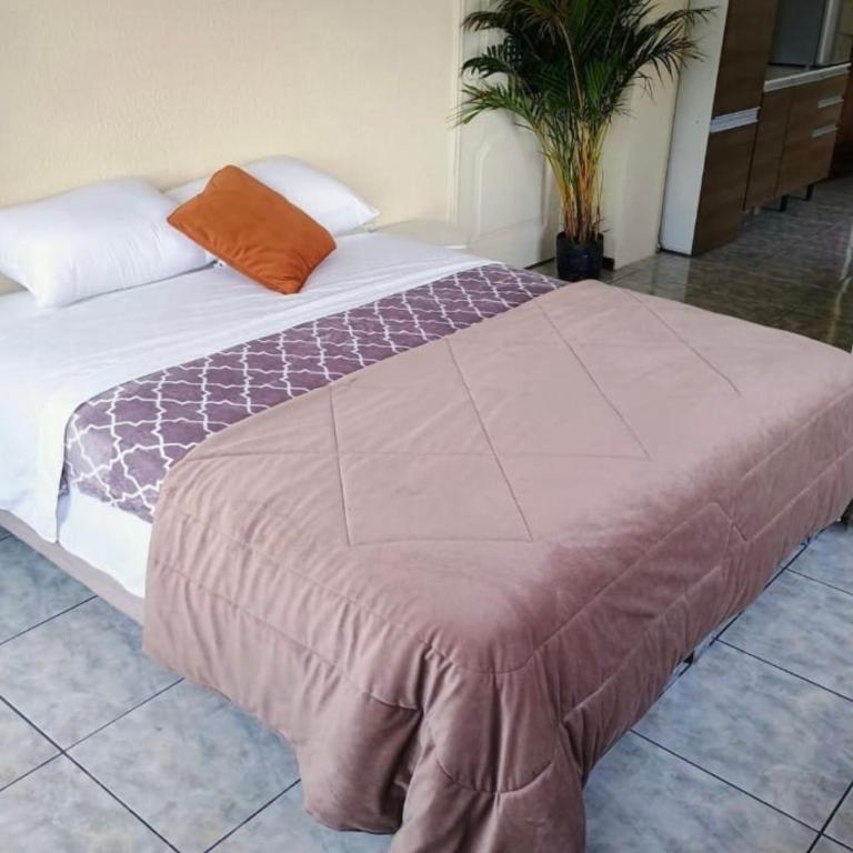centrico departamento - Apartamento de 2 dormitorios - 6
