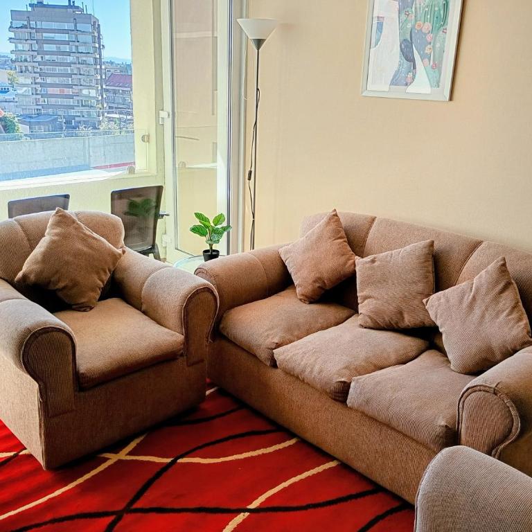 Arriendo 1 Departamento Diario Amoblado en Pleno Centro de Osorno Full Electrico y estacionamiento, comodidad y seguridad - Apartamento de 1 dormitorio - 11