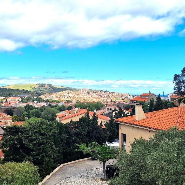 Charmant T3 pour 6 pers. avec parking à Banyuls-Sur-Mer - FR-1-309-518 - Apartamento de 2 dormitorios - 3