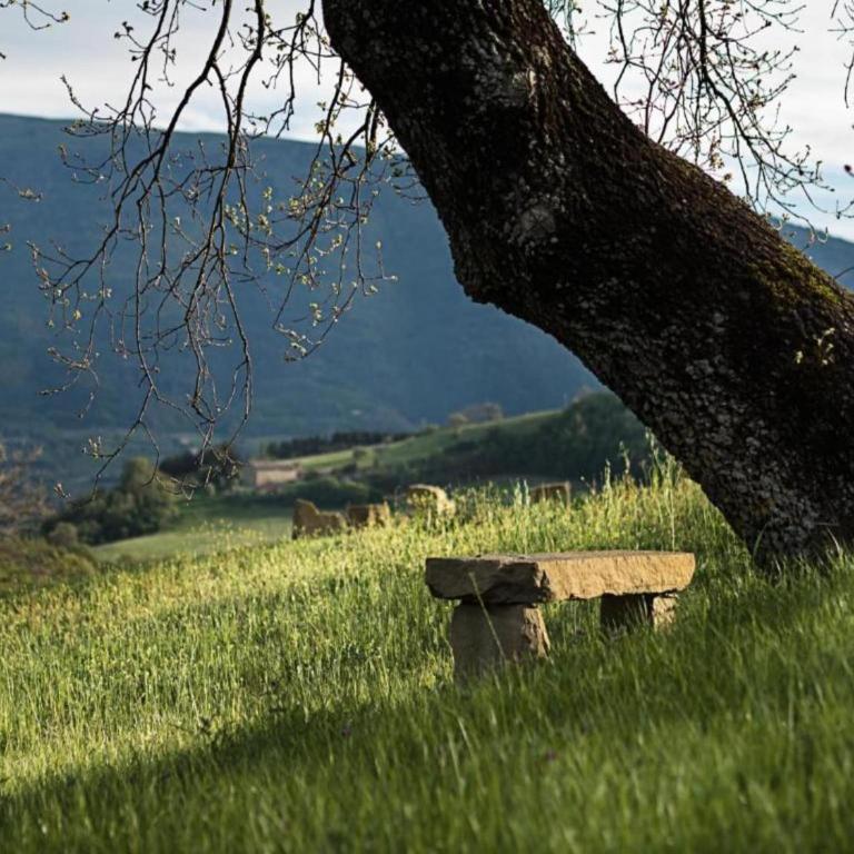 Mansion to Relax & Rejuvenate - Casa Vacanze con 2 Camere da Letto - 38