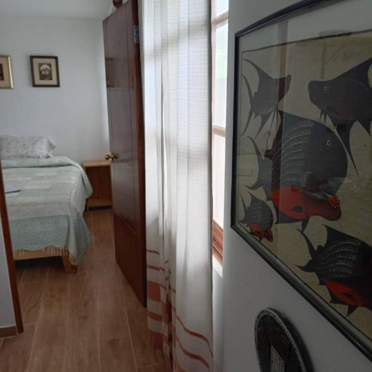 Mi lagartitas Bungalow - One-Bedroom Apartment - 8