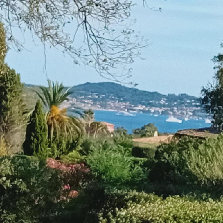 Villa golfe st tropez area & swimming pool - One-Bedroom House - 13