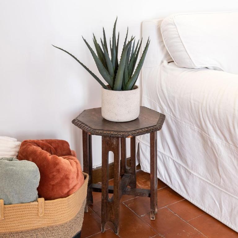 Barchetta Loft - Appartamento con 1 Camera da Letto - 13