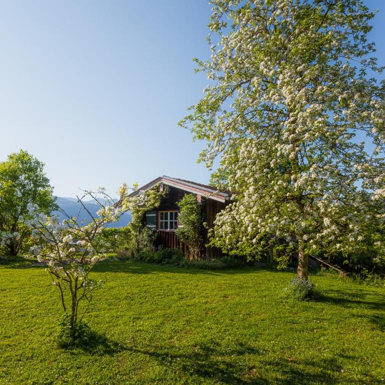 Ferienwohnung Mankei - Appartamento con 2 Camere da Letto - 67