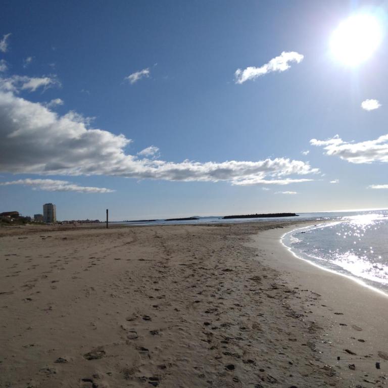 Résidence T2 , Jardin 100m plage Parking gratuit - Appartement 1 Chambre - 4