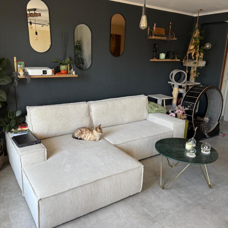 Appartement rénové Toulon - Appartamento con 2 Camere da Letto - 8