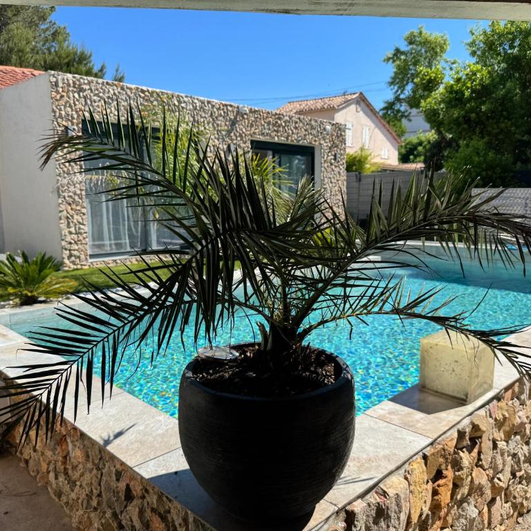 Havre de Paix avec Villa Prestige Cannes , Piscine Chauffée, Alarme, Caméras Parking privée - Villa - 6