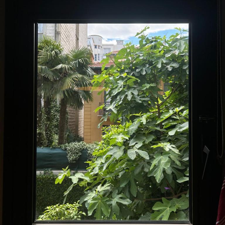 Rivoli Center Terrasse Clim Parking - Appartement 1 Chambre - 6