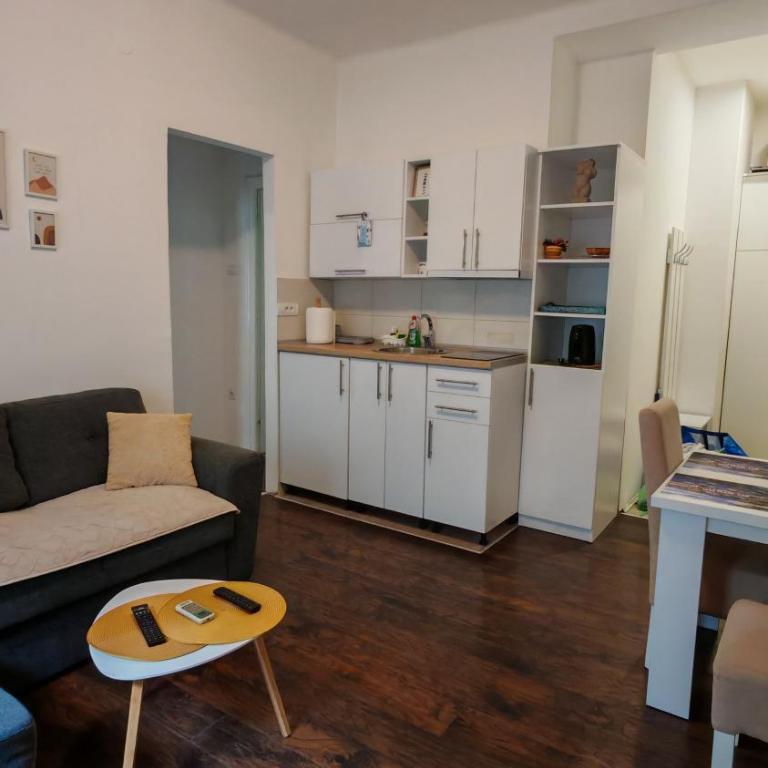 ZELENI VENAC Studio & Apartment - One-Bedroom Apartment - 11