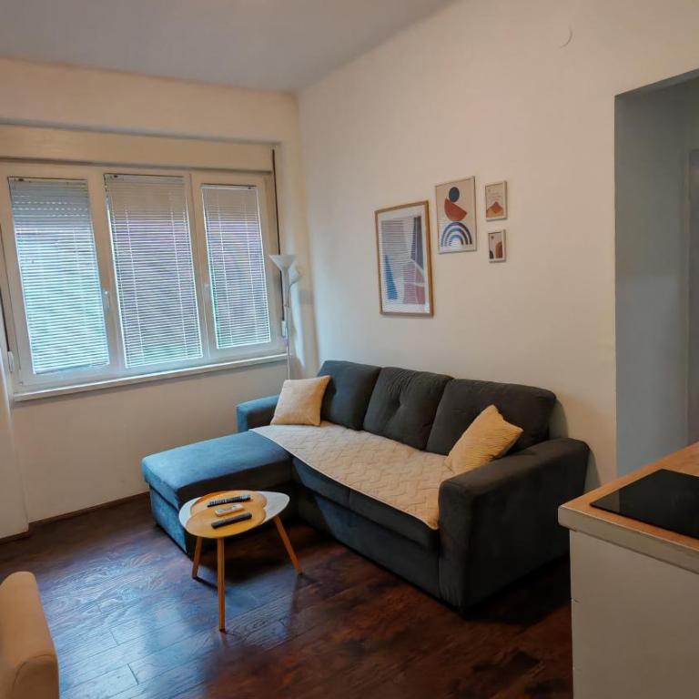 ZELENI VENAC Studio & Apartment - One-Bedroom Apartment - 13