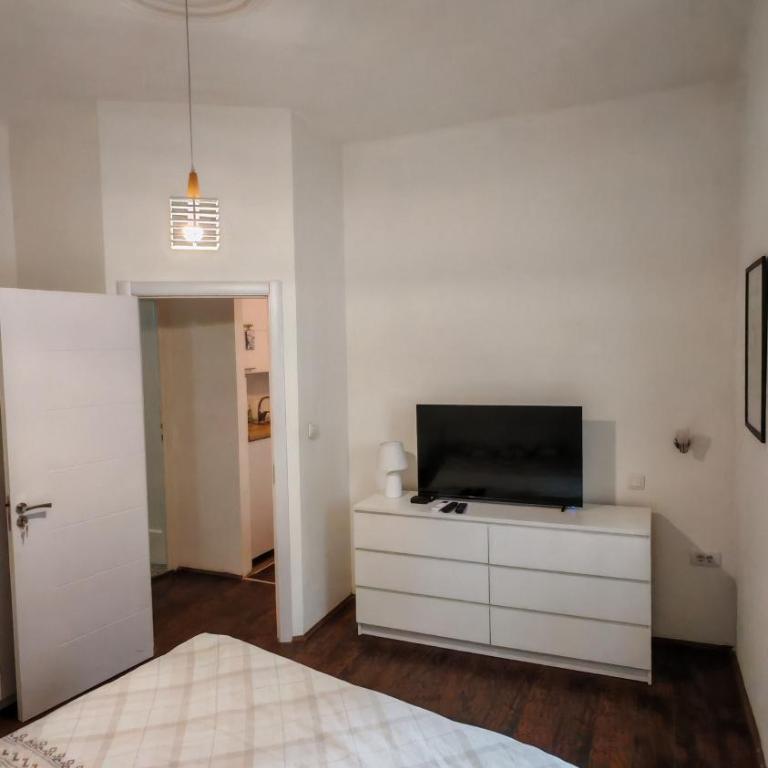 ZELENI VENAC Studio & Apartment - One-Bedroom Apartment - 9